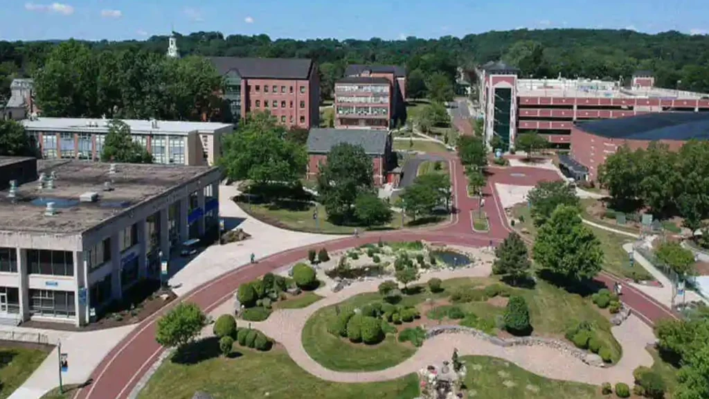 Choudhary Charan Singh University